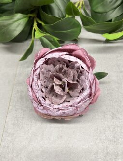 Peonia zasuszana wyrobowa T110-2530