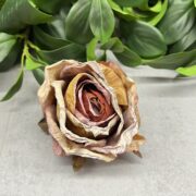 IMG_0386