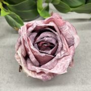 IMG_0395