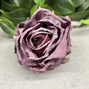 IMG_0409