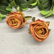 IMG_0437