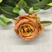 IMG_0438