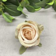IMG_0440