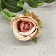 IMG_0456