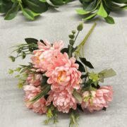 IMG_0474