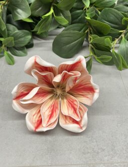 Magnolia MH18