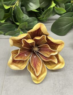 Magnolia MH18