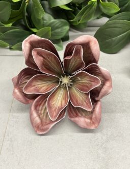 Magnolia MH18