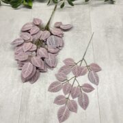 IMG_1037