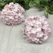 IMG_1059