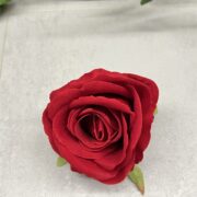 IMG_1087