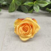 IMG_1186