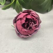 IMG_1268