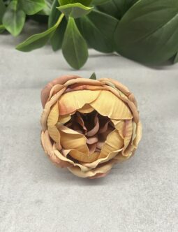 Peonia IRA 120