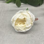 IMG_1272