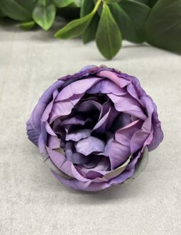 Peonia IRA 120