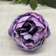 IMG_1276