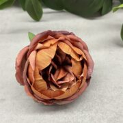 IMG_1278