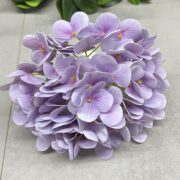 IMG_5282