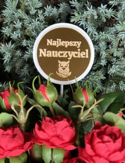 Toppery Najlepszy Nauczyciel