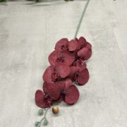 IMG_9789