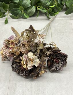 Peonia zasuszana Bukiet 090217