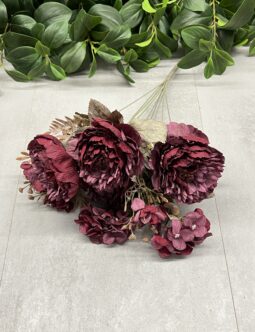 Peonia zasuszana Bukiet 090217