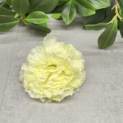 IMG_1501