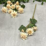 IMG_1578