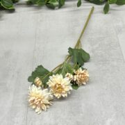 IMG_1579