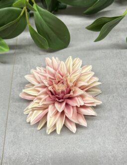 Dalia wyrobowa SUN905