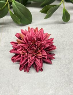 Dalia wyrobowa SUN905