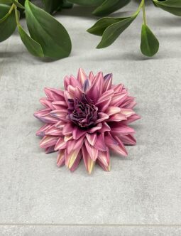 Dalia wyrobowa SUN905