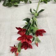 IMG_1690