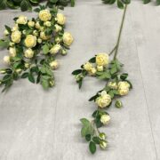 IMG_1765