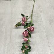 IMG_1770