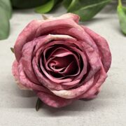 IMG_1780