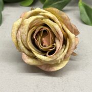 IMG_1781
