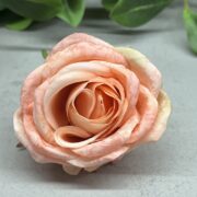 IMG_1782