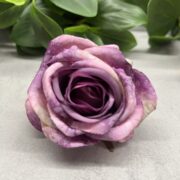IMG_1784