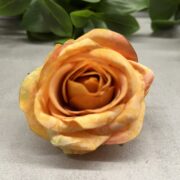 IMG_1785