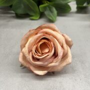 IMG_1786