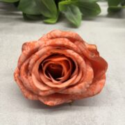 IMG_1788
