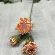 IMG_1871