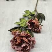 IMG_1897