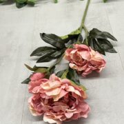 IMG_1898