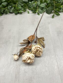 Peonia HD9712