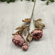 IMG_1912
