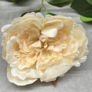 IMG_1931