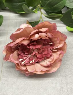 Peonia główka pąk FME074513N